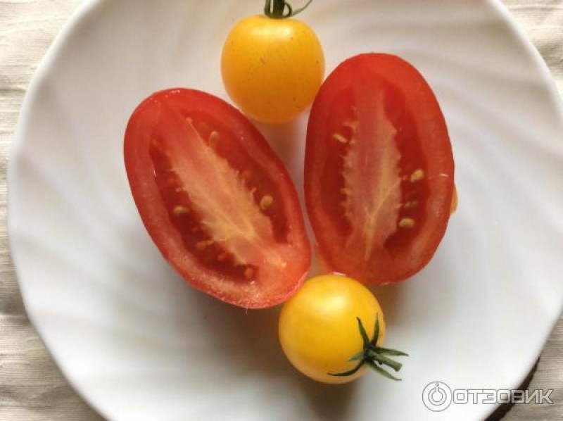 Мякоть сорта Сибирская тройка