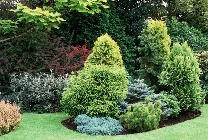 Как законно забрать себе заброшенный участок в СНТ. Пошаговая инструкция