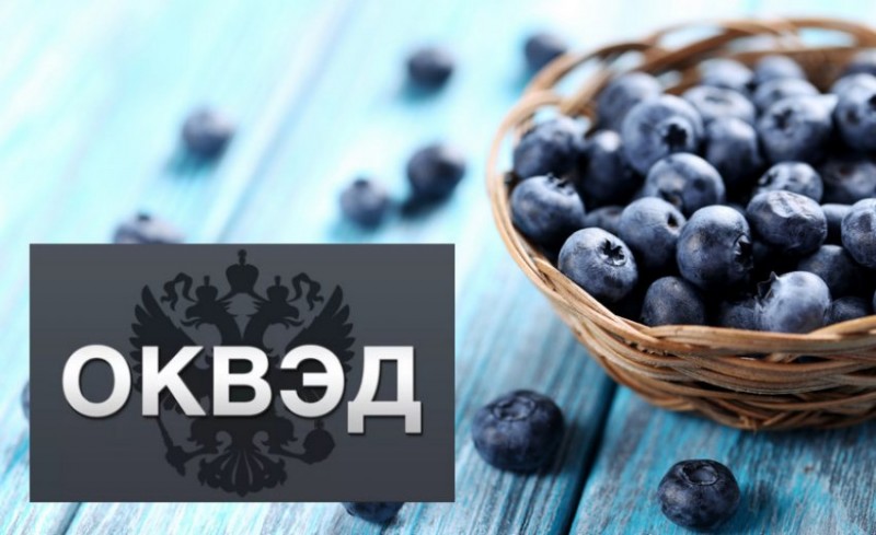 Регистрация по классификации ОКВЭД