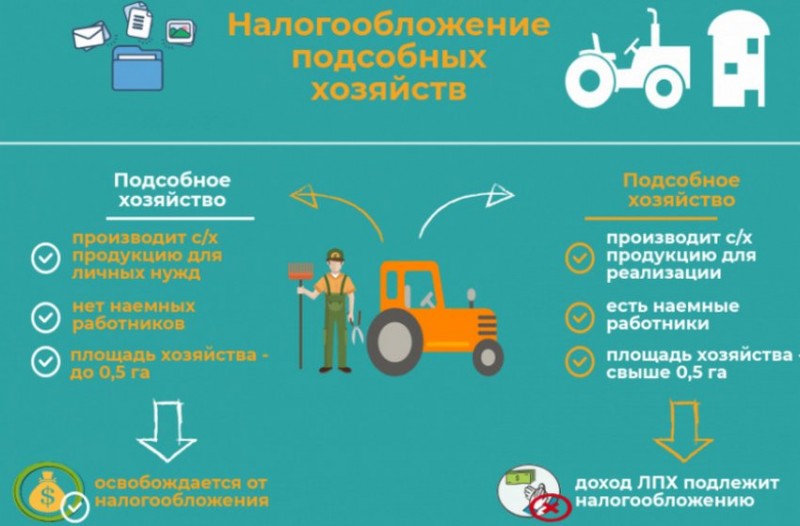 Налогообложение подсобных хозяйств