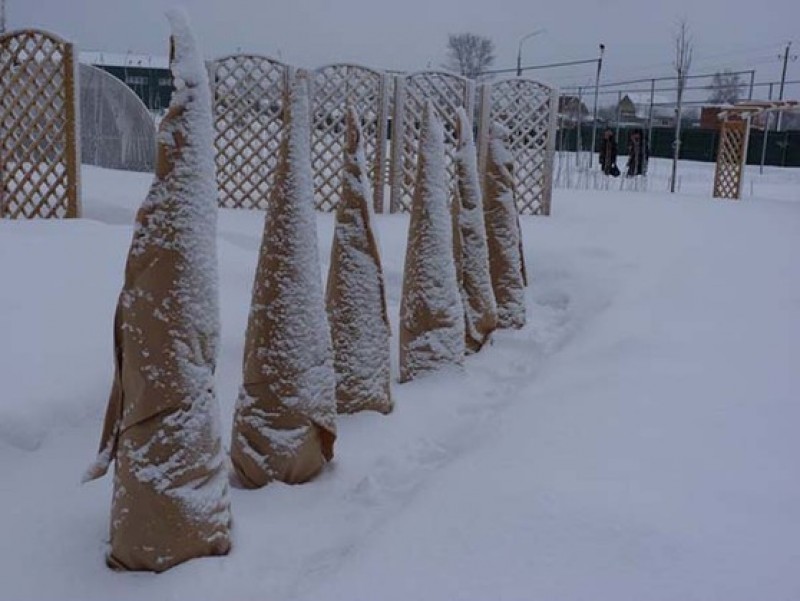 Укрытие крафт-бумагой