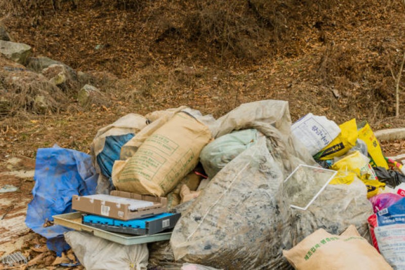 Мусор выброшенный с нарушением