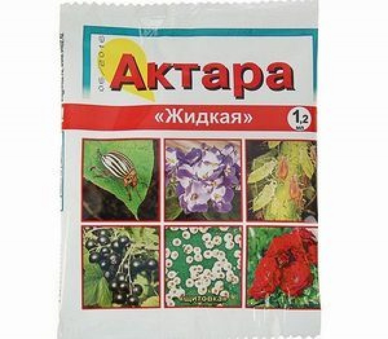 Можно ли актарой опрыскивать комнатные цветы? 173