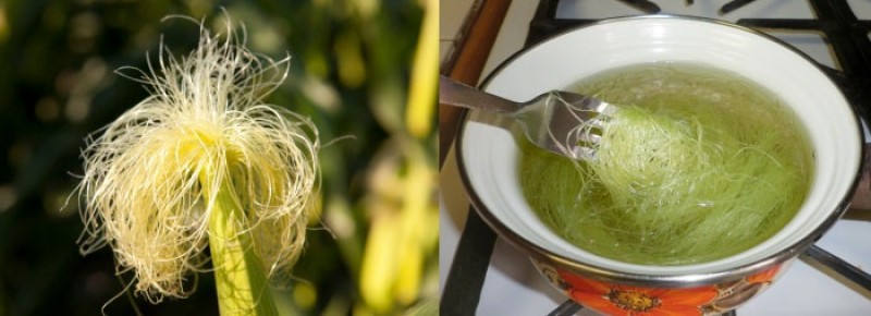 Кукуруза рыльца отвар. Чай кукурузные рыльца. Настой кукурузных рыльцев. Кукурузные рыльца отвар. Отвар кукурузных рылец.