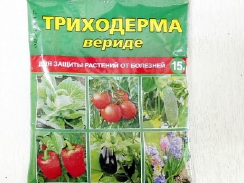 Как развести триходерму. Триходермин Верде. Триходерма друг садовода и огородника препарат. Триходерма вериде. Триходермин удобрение для сада и огорода.
