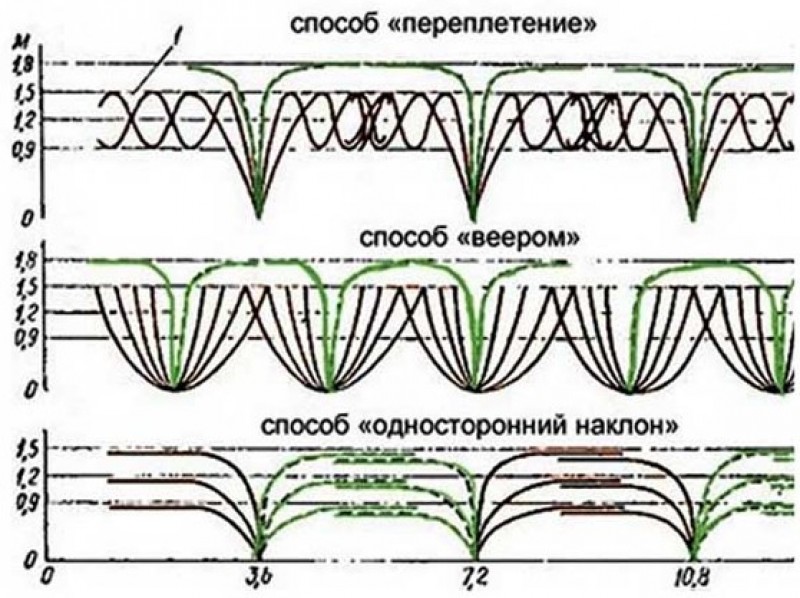 Обрезка ежевики весной для начинающих в картинках пошагово со схемой