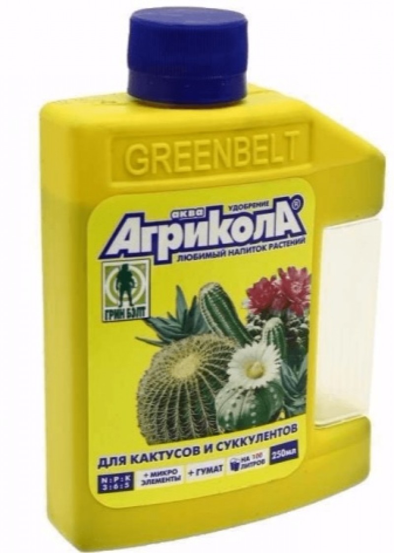 замиокулькас грунт. замиокулькас чем подкармливать. удобрение для долларового дерева. подкормка для замиокулькаса. замиокулькас корни горшок.