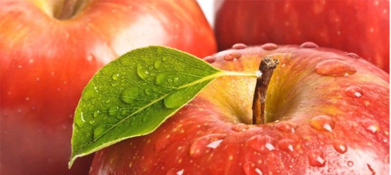 Как правильно обрезать яблоню: инструкция для начинающих в картинках