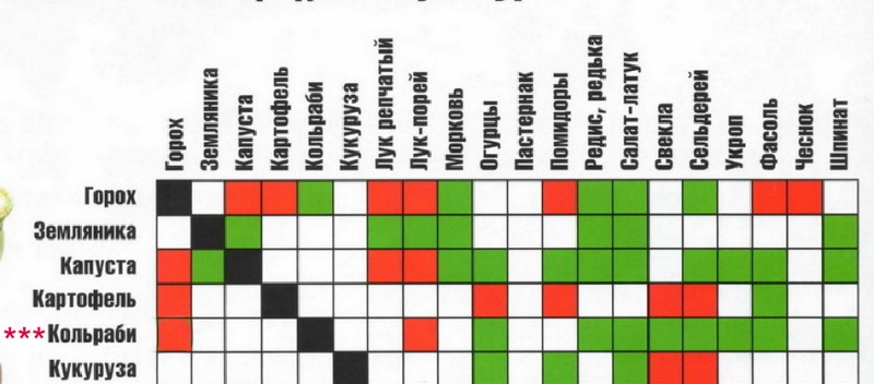 Схема посадки кольраби