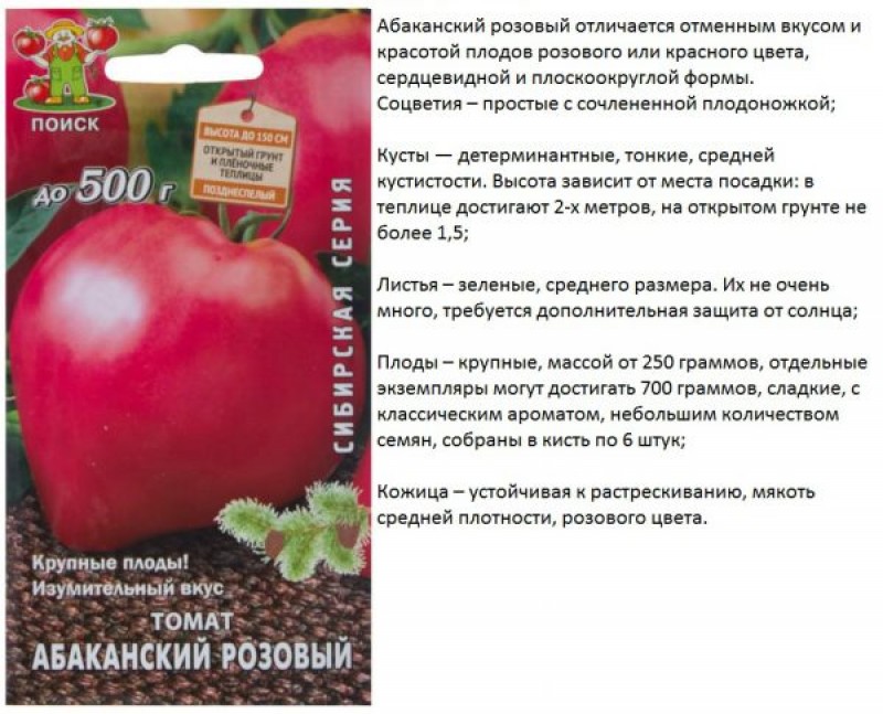 Томаты абаканский розовый описание сорта фото отзывы