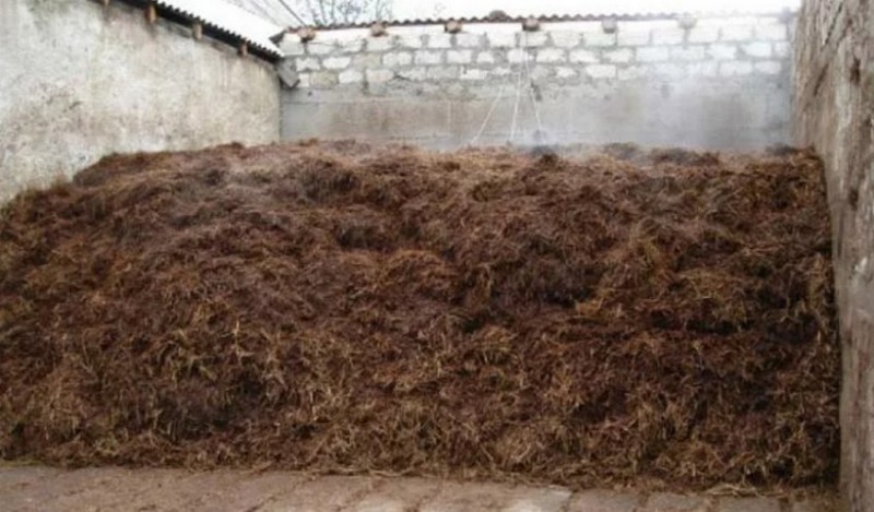 Навозохранилище. Торфонавозный компост. Компостный бурт. Хранение удобрений зимой. Производитель навоза.