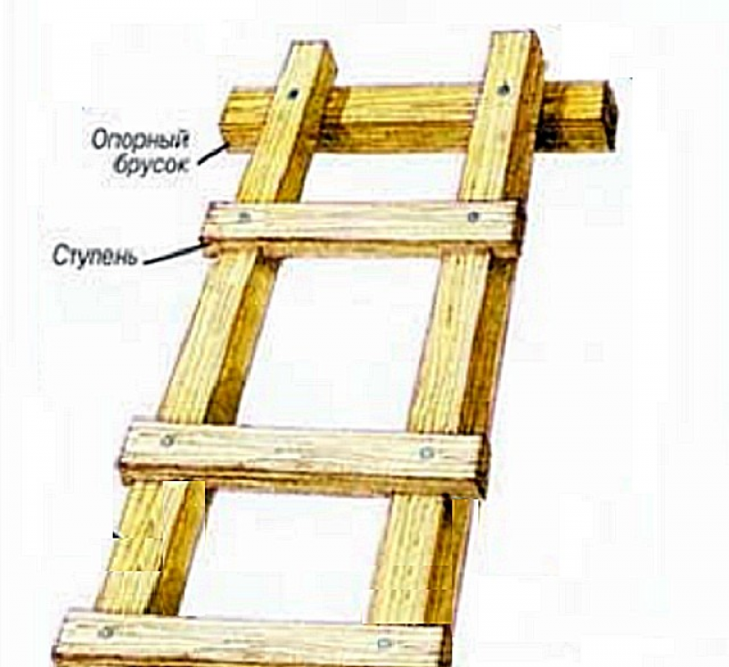 Лестница своими руками из дерева приставная 3 метра чертежи и размеры