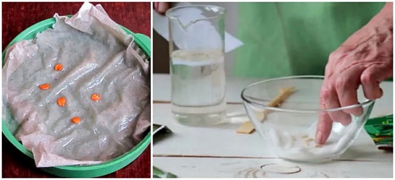 как замочить в янтарной. янтарная кислота 10г ортон. замачивание семян. как замочить в янтарной. замочить семена томатов в янтарной кислоте порошок.