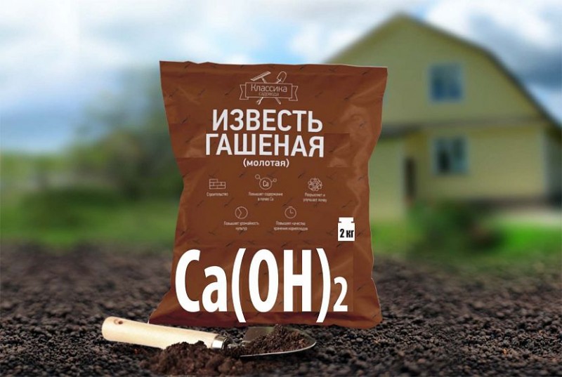 Для чего используется известь