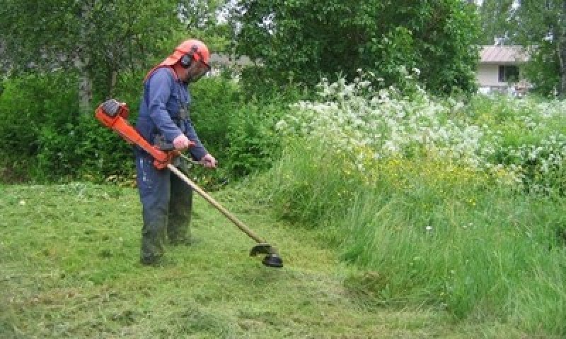 Как подготовить участок под газон и советы как посеять газон на даче и как за ним ухаживать