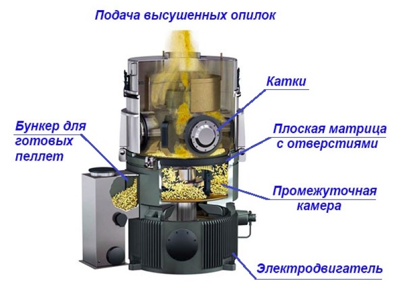 Устройство гранулятора с плоской матрицей