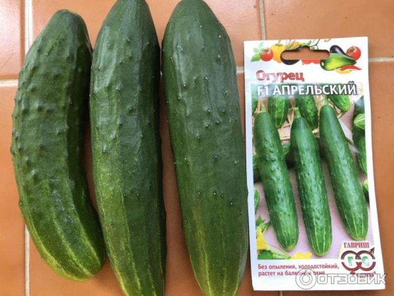 огурцы апрельские отзывы фото