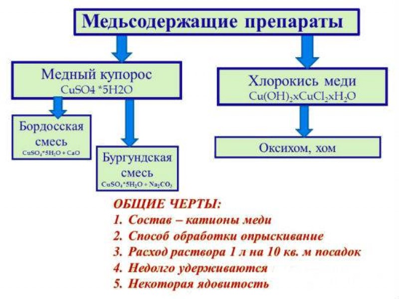 Как развести медный купорос для томатов. Медный купорос для обработки почвы. Медь сожержашие препараты?. Медный купорос для обработки теплицы. Обработка медным купоросом весной.