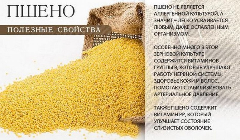 Польза пшена