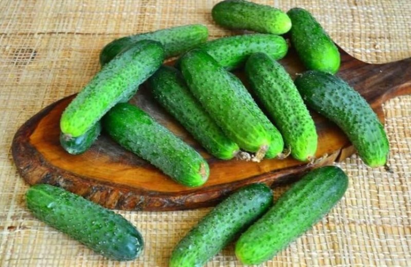 Огурцы для засолки