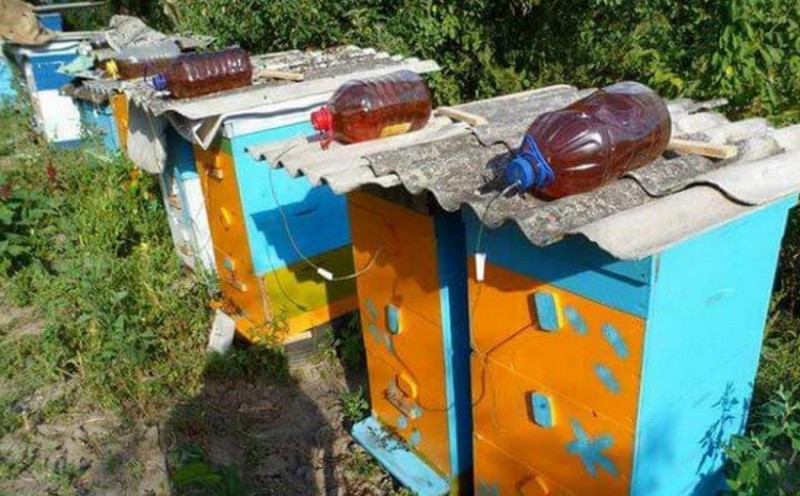 Емкостная кормушка для пчел