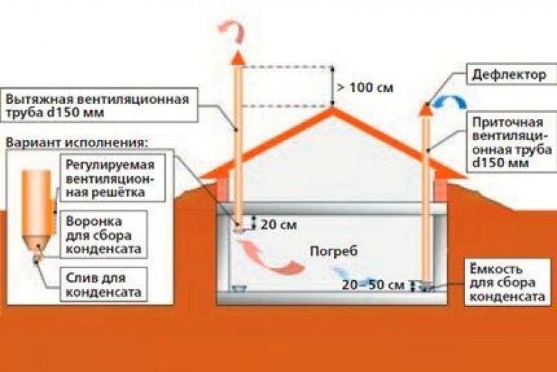 Вентиляция должна быть. Вентиляция погреба снизу. Вытяжка снизу приток сверху вентиляция в подвале. Вытяжка конденсат схема. Вытяжка овощной ямы схема вытяжки.