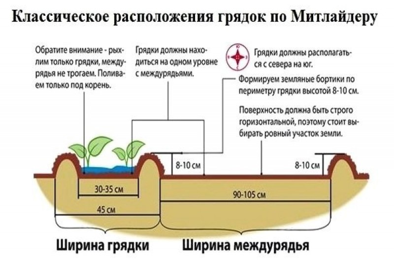 Размер грядок на огороде из досок и расстояние между грядками схема