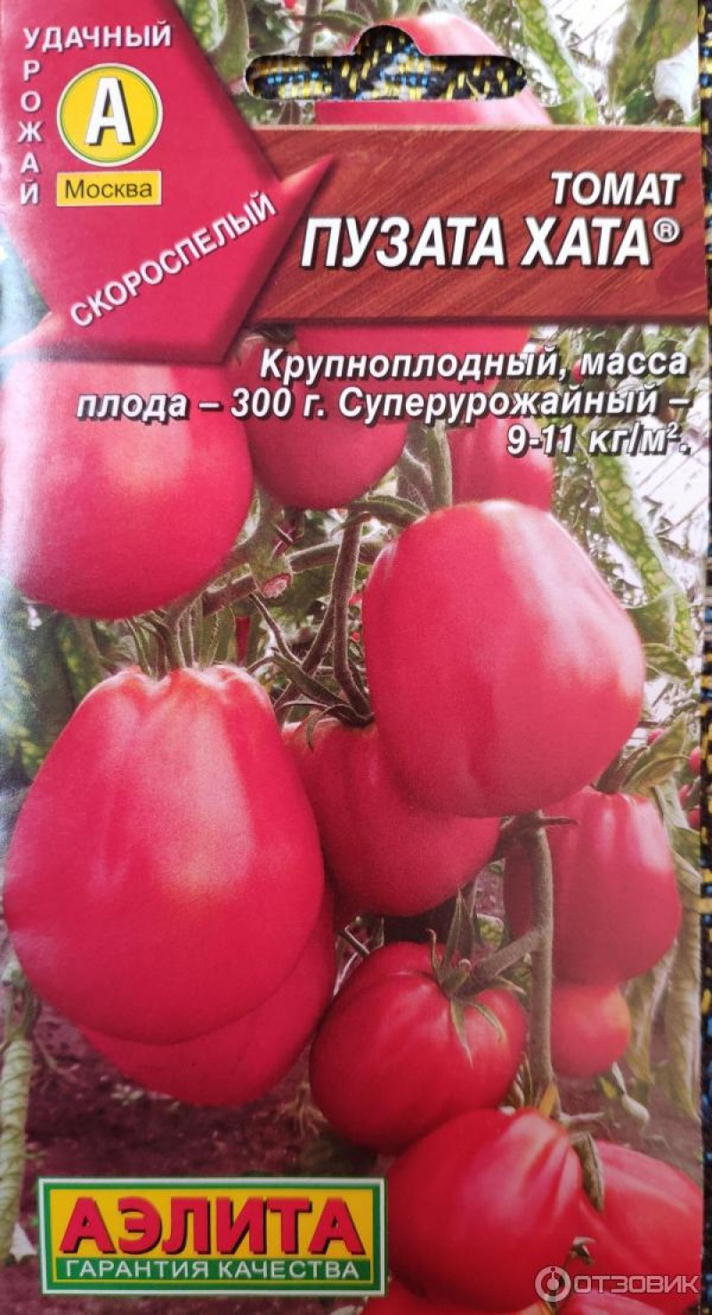 Томаты пузата хата описание сорта фото. Аэлита томат Пузата хата. Томат СТО пудов и Пузата хата. Томат Пузата хата характеристика. Помидор Пузата хата фото и описание.