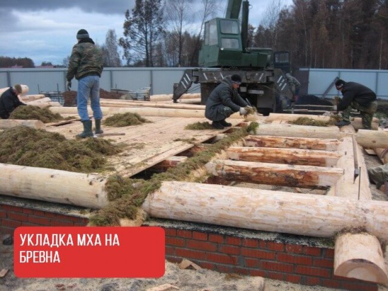 Что класть между фундаментом и. Окладной венец сруба. Фундамент из бревен. Первый венец сруба. Фундамент под сруб.
