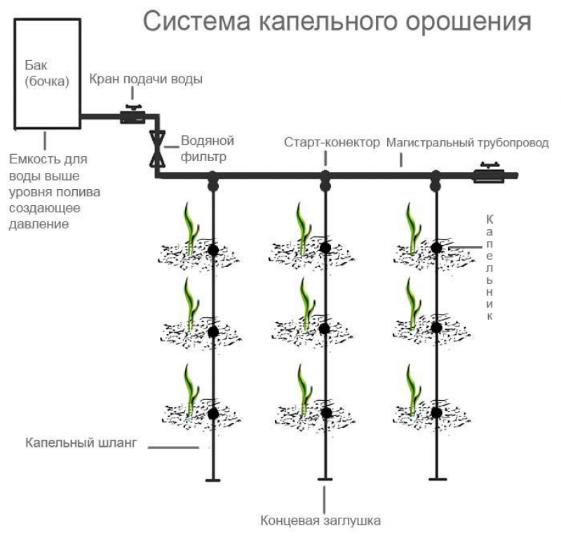 Схема водопровода в огороде