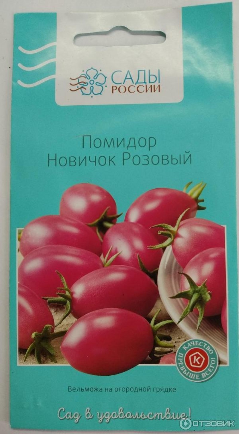 Помидоры новичок розовый. Томат новичок (1уп-25гр). Помидоры новичок розовый сады России. Семена томат новичок розовый. Гавриш томат новичок.