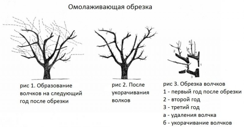 Как обрезать быстро картинку