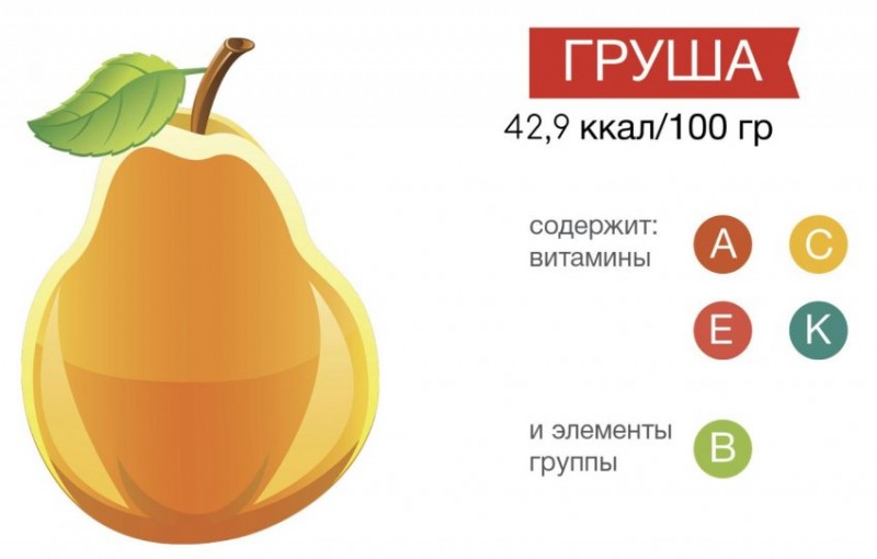 Груша конференц страна производитель