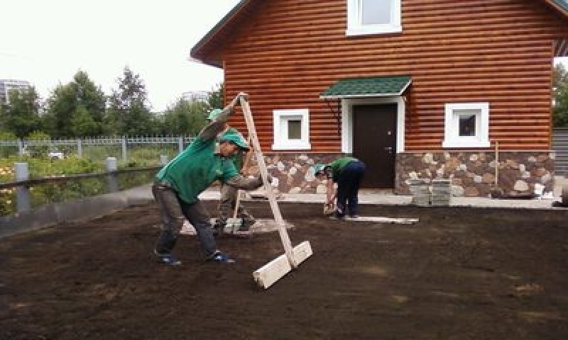 Как подготовить участок под газон и советы как посеять газон на даче и как за ним ухаживать