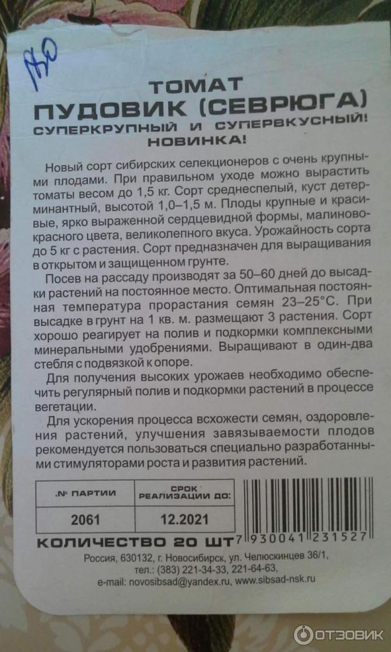 томат пудовик характеристика и описание сорта отзывы. томат пудовик характеристика и описание сорта отзывы.
