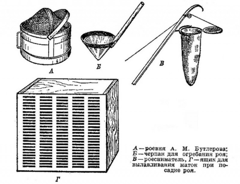 Ловушка для роя пчел своими руками чертеж фото