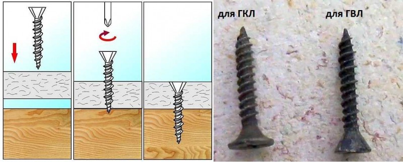 Саморезы для ГВЛ нужны особые - с острой конусной шляпкой 