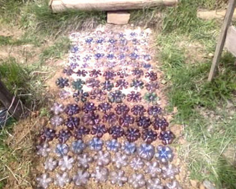 дорожки на даче из пластиковых бутылок. садовые дорожки из крышек. дорожка из крышек от пластиковых. садовые дорожки из крышек. садовая дорожка из пробок.