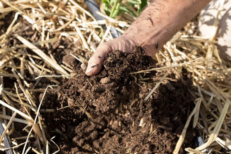 Плодородие почвы. Почва плодородие почвы. Улучшение почвы. Повышение плодородия почвы. На какой почве лучше растет