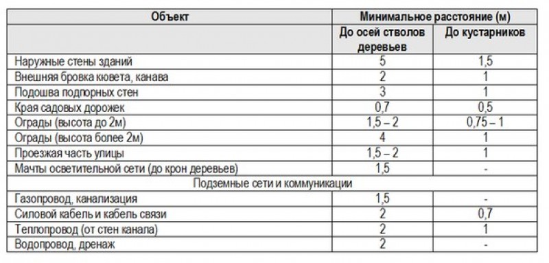 На каком расстоянии можно сажать кустарники. Нормы посадки деревьев СНИП. Нормативы посадки деревьев и кустарников. Нормы высадки деревьев от забора. СНИП посадка деревьев и кустарников.