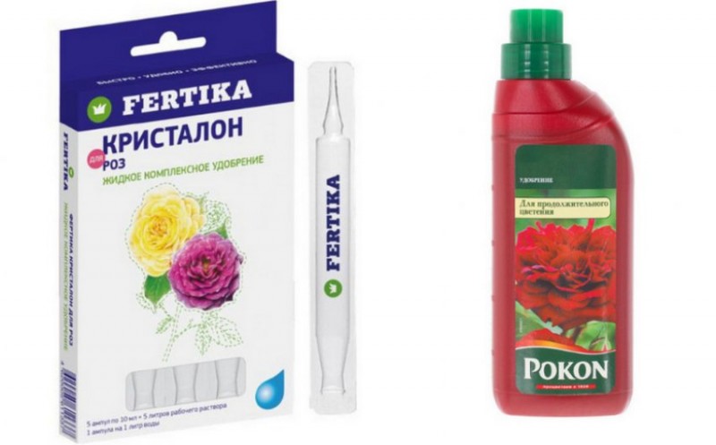 Удобрения для рододендрона