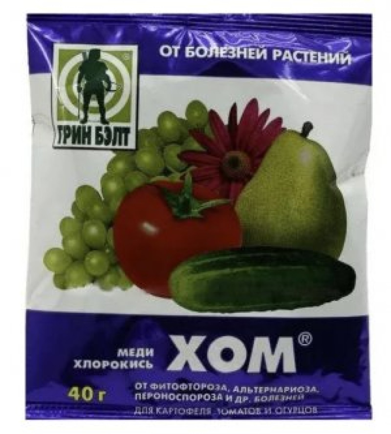Хом элемент. Хом элемент