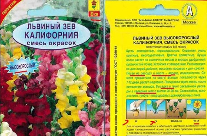 Как правильно посеять на рассаду львиный зев. Львиный зев крупноцветковый смесь. Львиный зев цветок карликовый. Львиный зев среднерослый смесь. Львиный зев Антирринум рассада.