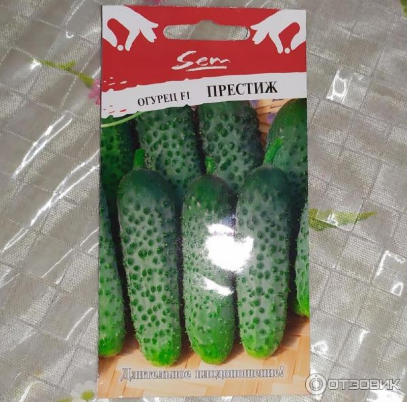 престиж огурец адам f1. сорта огурцов престиж. семена седек огурец престиж f1. семена седек огурец престиж f1. семена огурцов престиж f1.
