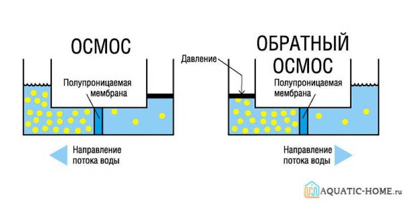 Схема осмоса через мембрану