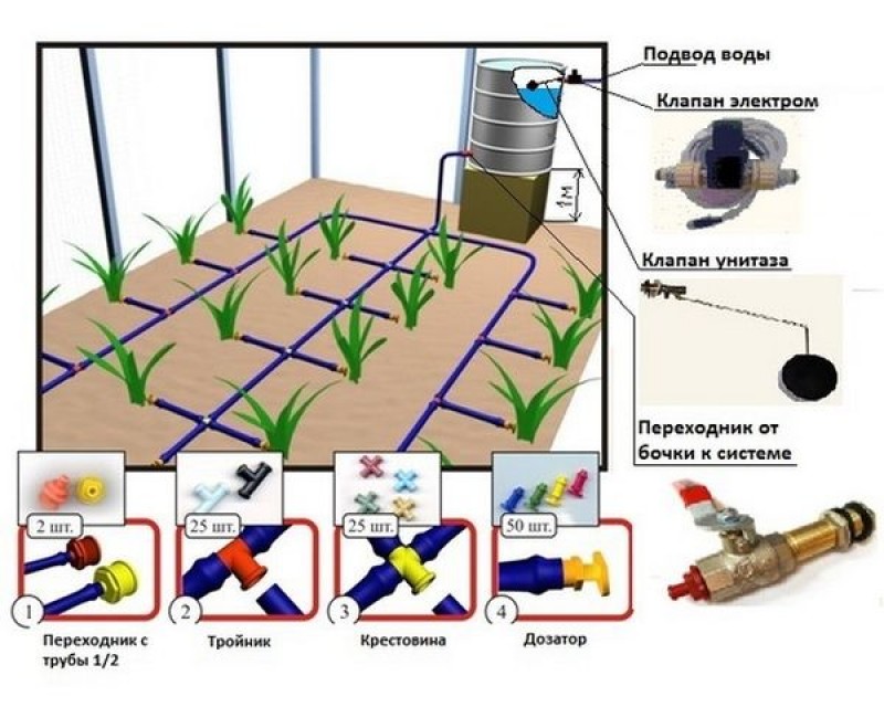 Схема разводки капельного полива