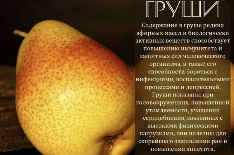 Груша конференц страна производитель