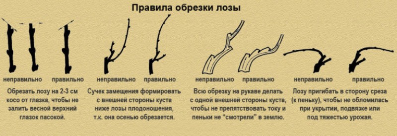 Некоторые практические рекомендации