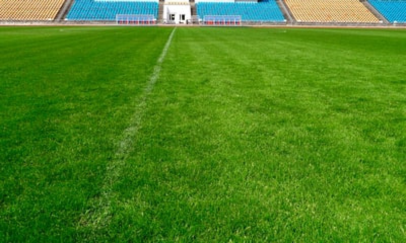foto24301-2 (1)