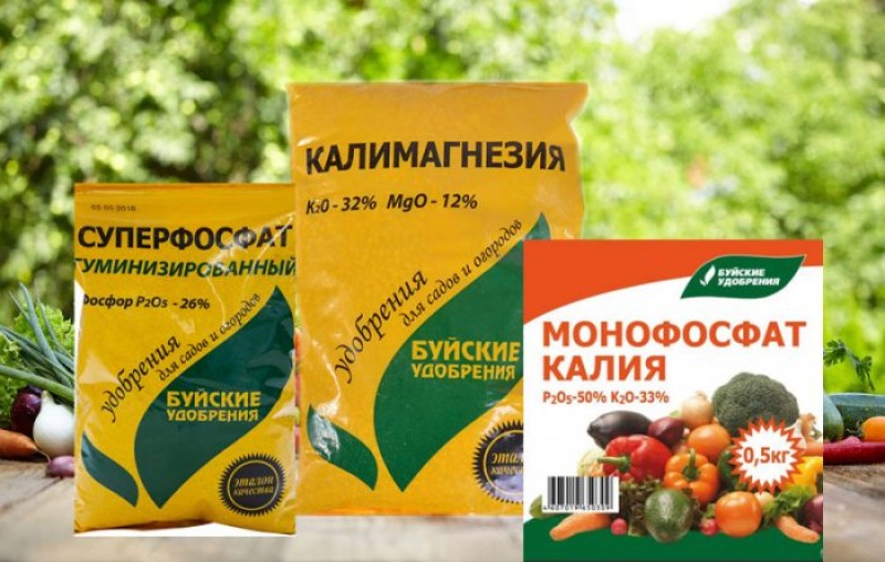 Удобрения с фосфором